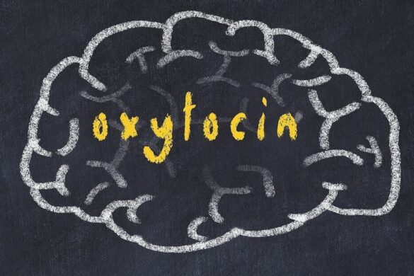 Οξυτοκίνη (Ωκυτοκίνη) — Oxytocin